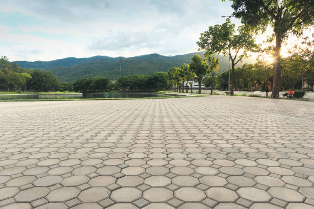Best Professional Driveway Pavers  in Warren, MI